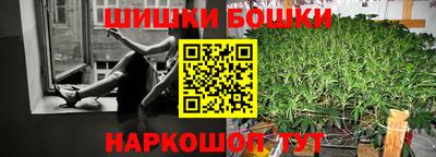 хмурый Бийск