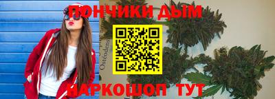 хмурый Бийск