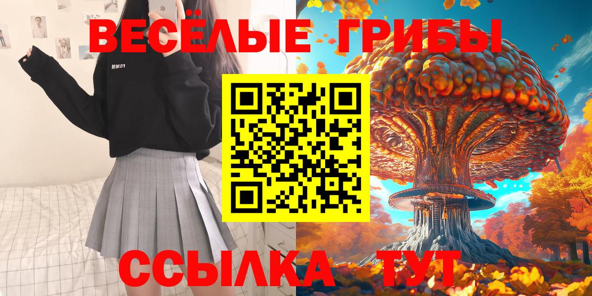 Галлюциногенные грибы Psilocybe  Псилоцибиновые грибы GOLDEN TEACHER  Кизляр  купить наркоту  Вход с VPN 